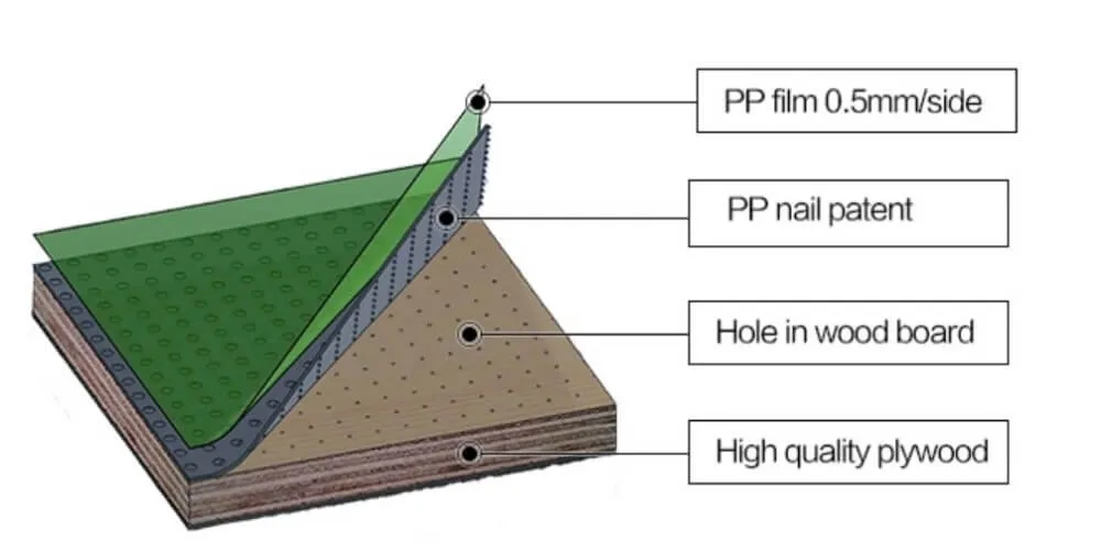 Green Plastic PP film faced plywood